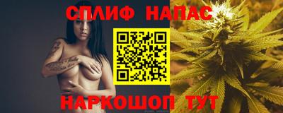 Альфа ПВП Будённовск