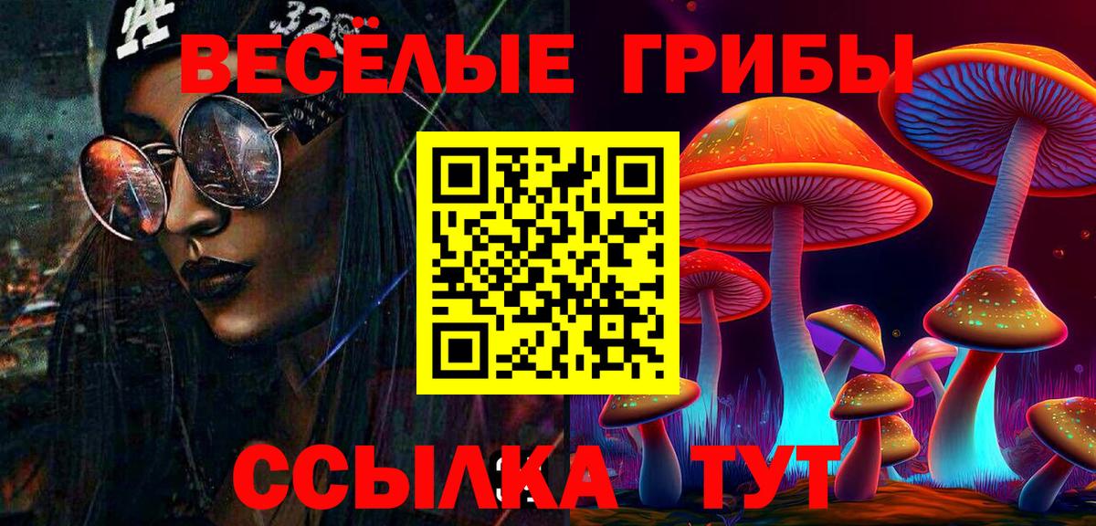 Галлюциногенные грибы Psilocybe  Вход с VPN  купить наркоту  Волоколамск 